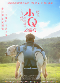 欧美午夜色大片在线观看免费